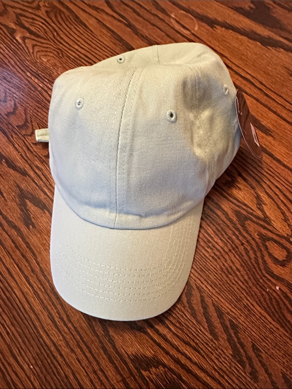 Classic Unbranded Light Sage Baseball Cap